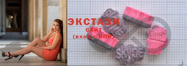 хмурый Алексин