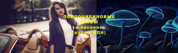 хмурый Алексин