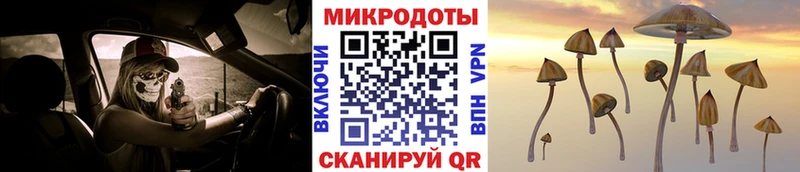 Псилоцибиновые грибы GOLDEN TEACHER  купить наркотики сайты  Петрозаводск 